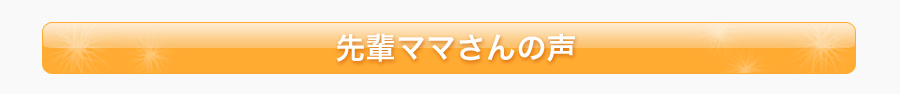 先輩ママさんの声