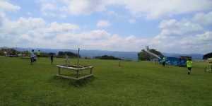 ブルーベリー摘み