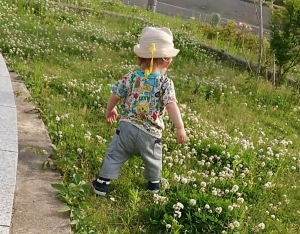 教えてサブママ！Vespulaチームって何しているの？