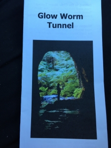 Glow Worm Tunnel
