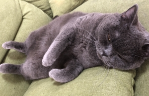 私がMamasan&Companyを選んだ理由は!