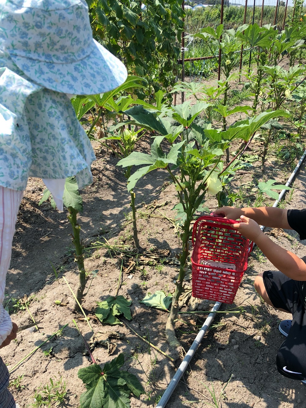 PC初心者！フルタイムから在宅へ♡