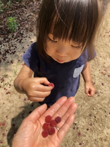 悩みと向き合える働き方