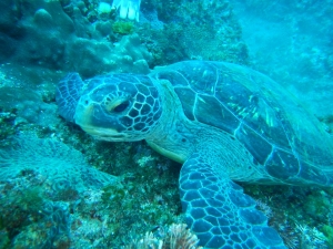 在宅ワークと子育ての両立