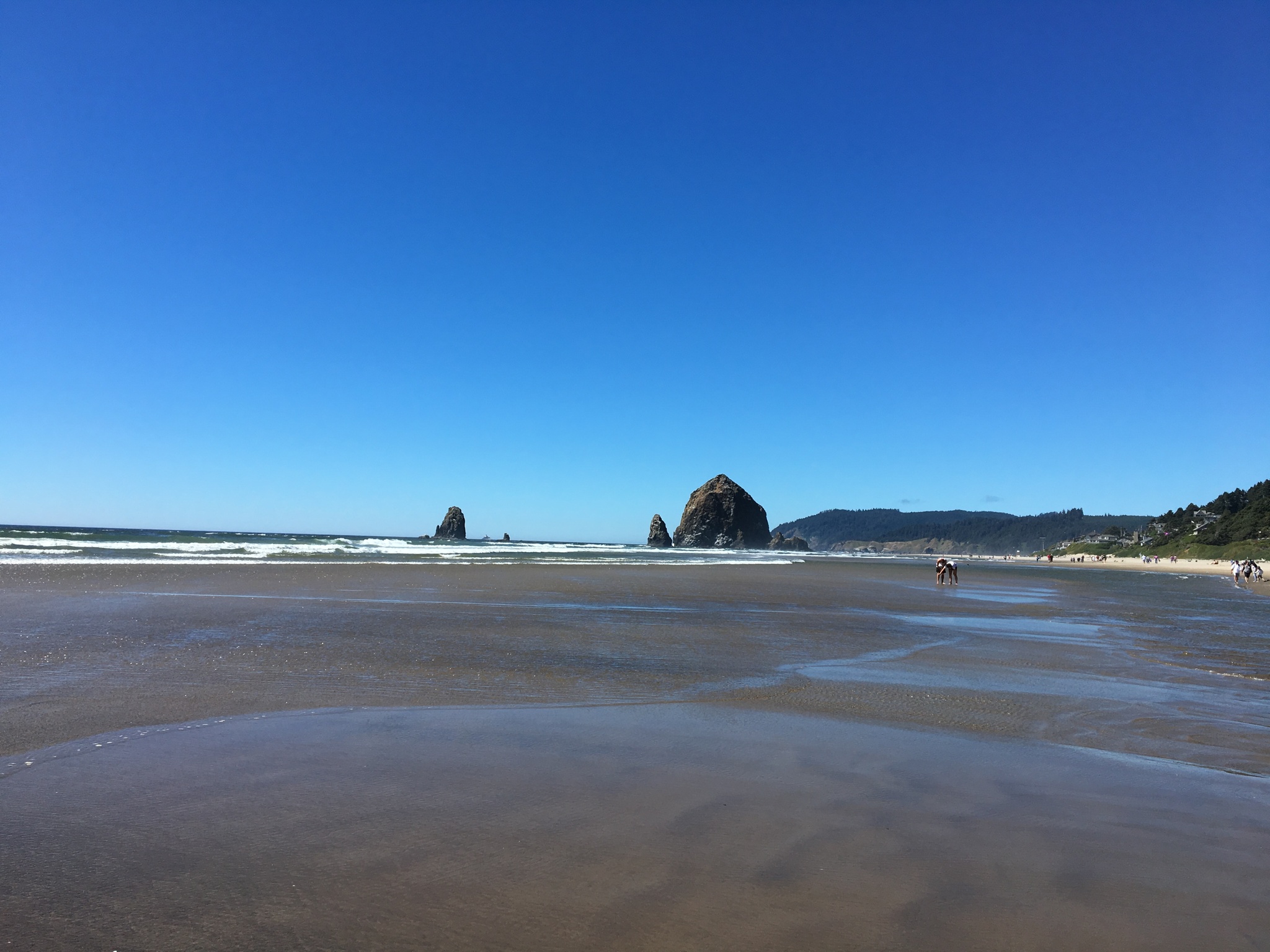 在宅の仕事を始めたきっかけ