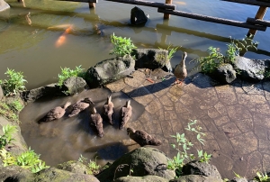 こう言う生き方もあるよ-シニア男性より:続編