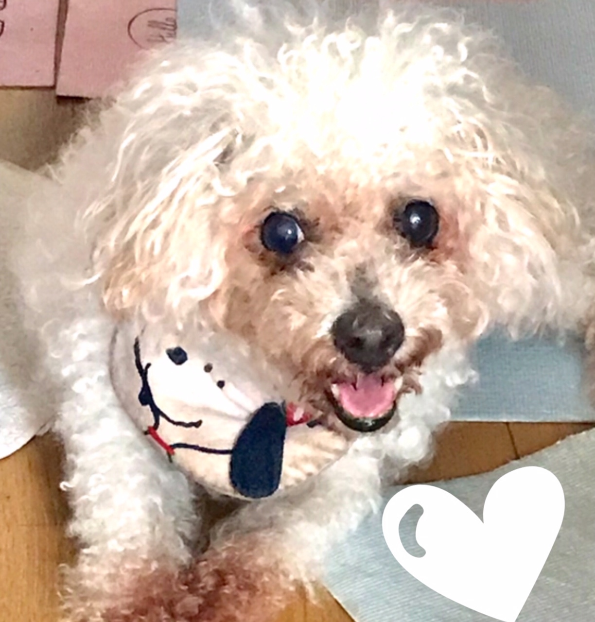 在宅ワークで幸せの時間　