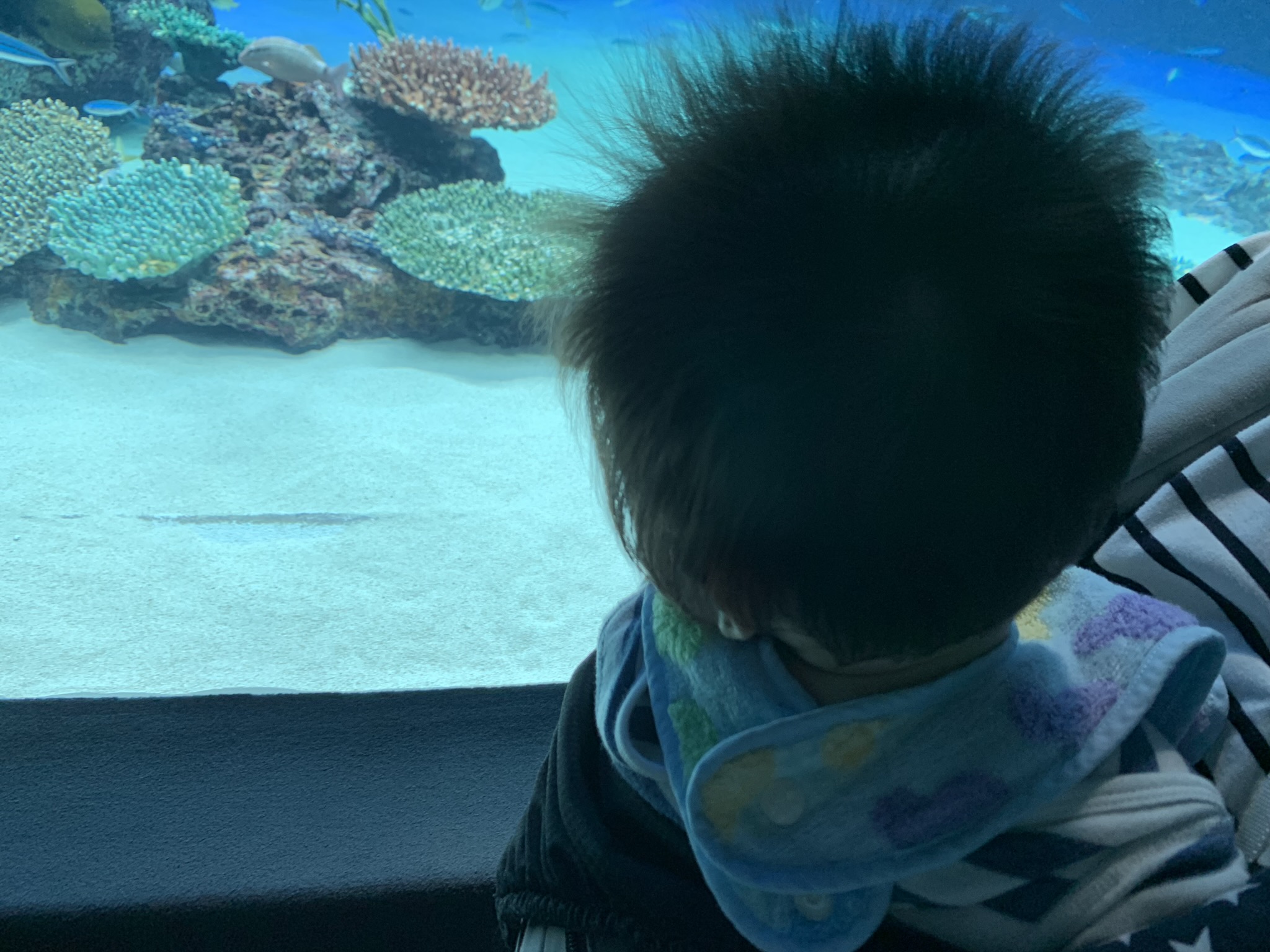 子どもが生まれてから初めての夏休み！