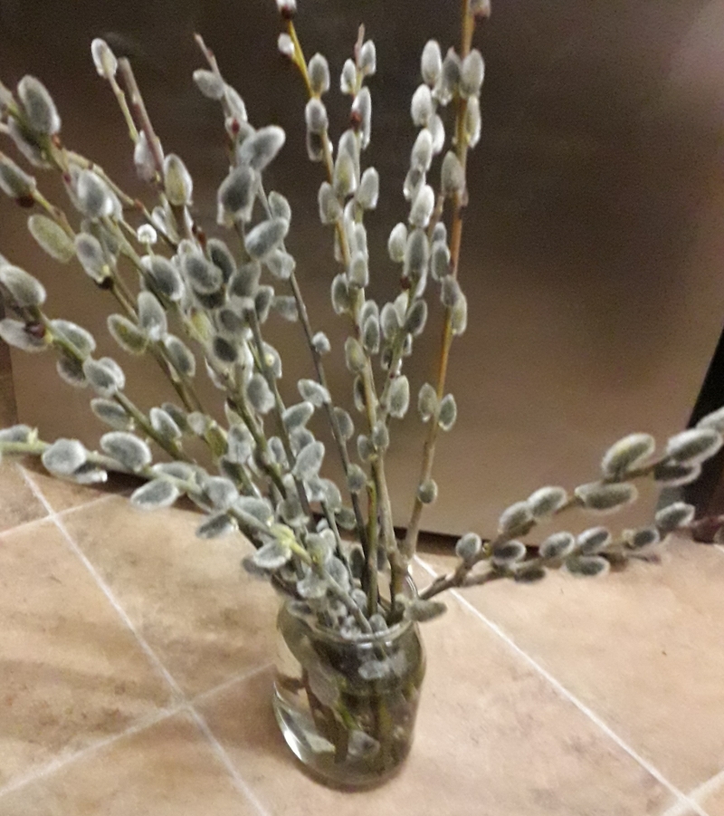 春はそこまで♪