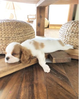 Mの独り言~(無)計画停電~