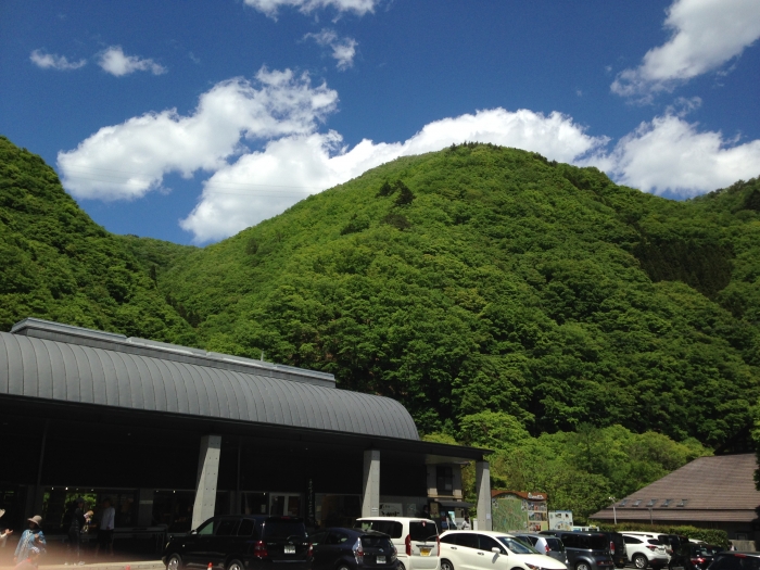 新緑のごちそう！