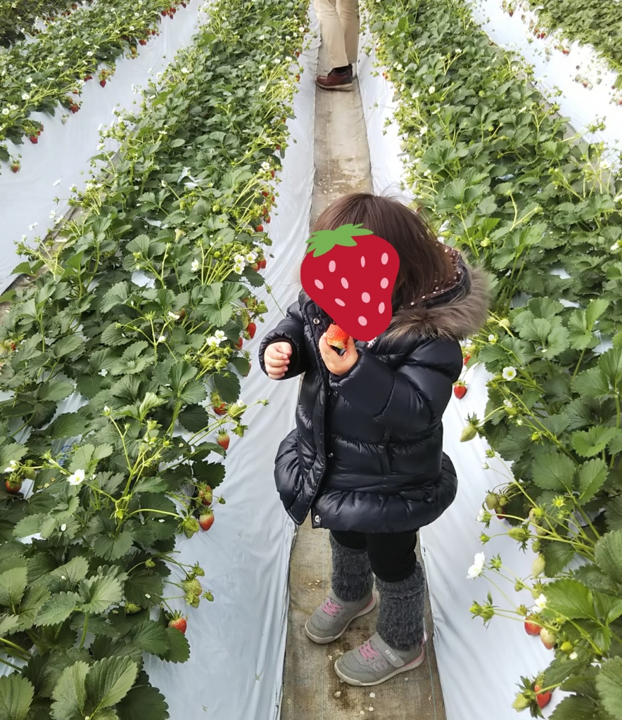 毎日充実!在宅ワーク