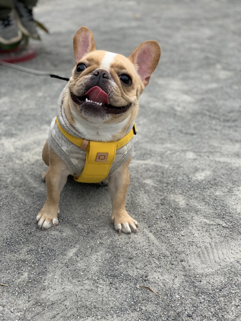 在宅ワークをはじめてみて