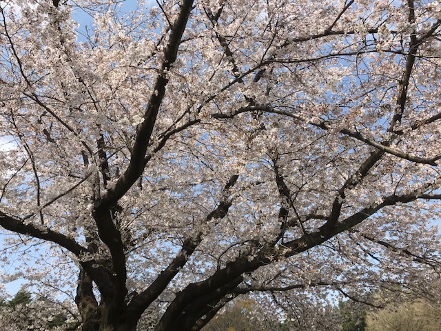 外勤辞めて在宅ダブルワークはじめました