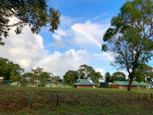 PTA役員と在宅ワーク(/・ω・)/