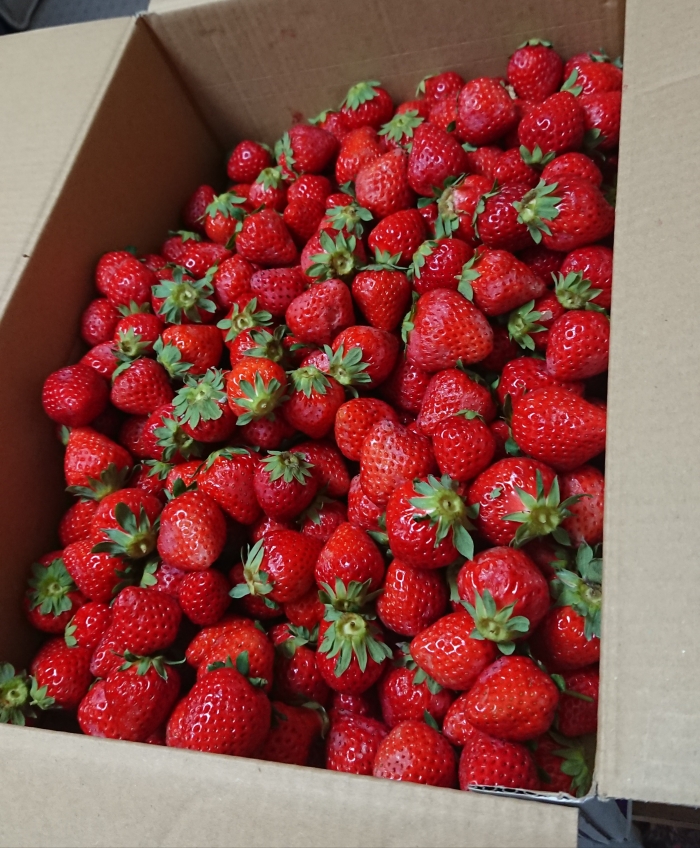 在宅なのに交流の輪が広がる☆