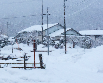 Mamasan&Companyで働くメリット‼