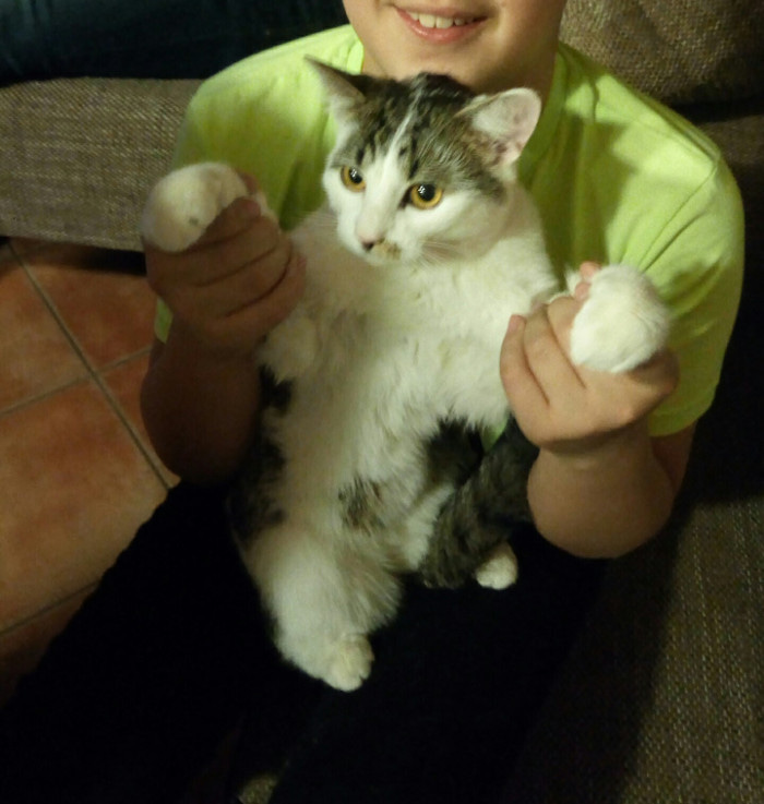 ハンガリーから新年のご挨拶