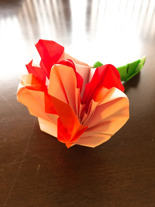 9回目の母の日を迎えて