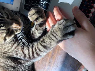 病気と仲良く生きること