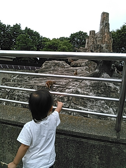 動物園☆