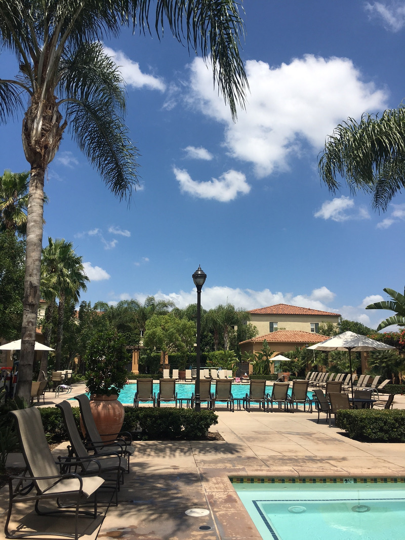 ようやくプールデビュー