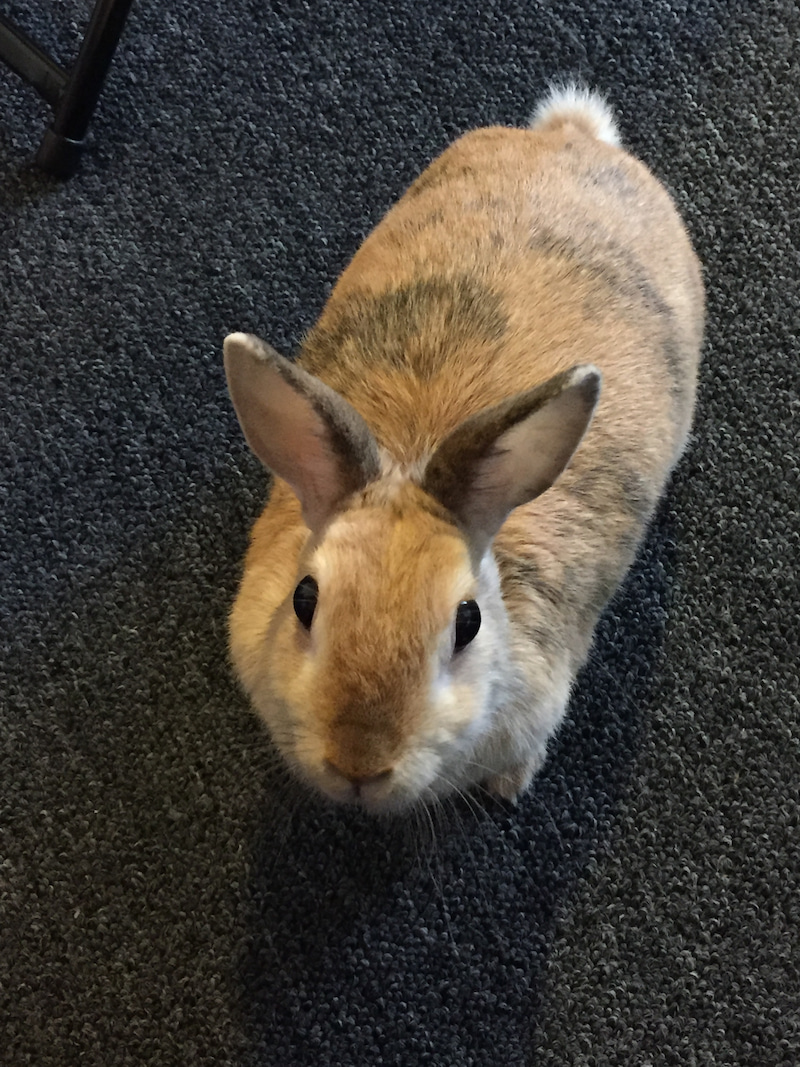 はじめまして☆