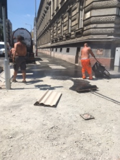 ハンガリーから、はじめまして♪