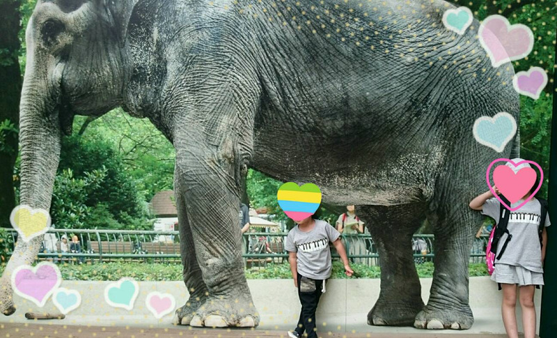 はなこさんがいない…