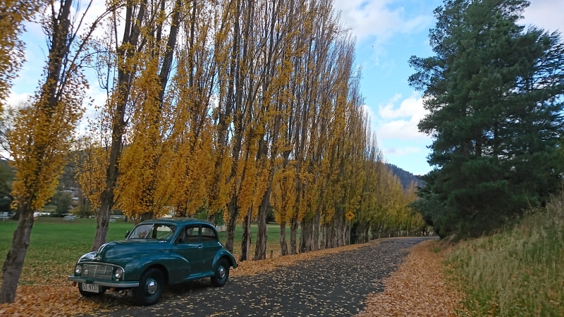 身近にクラシックカー