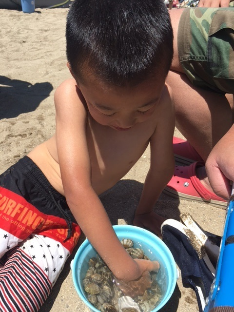 タイムスケジュール