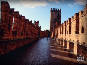 チャレンジの春♪