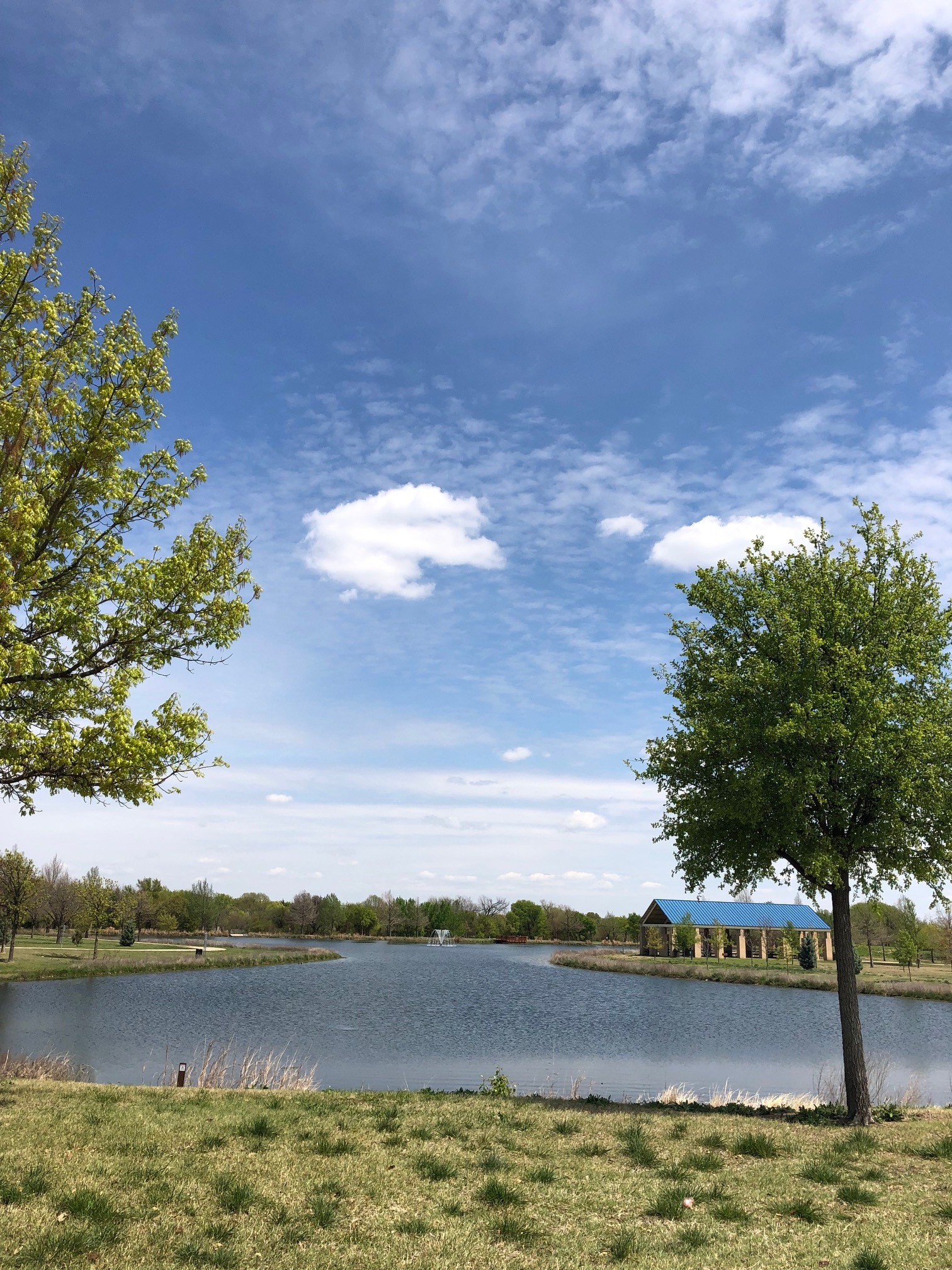 テキサスで在宅ワーク