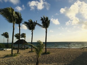 トロントからメキシコへ～南国での休暇～