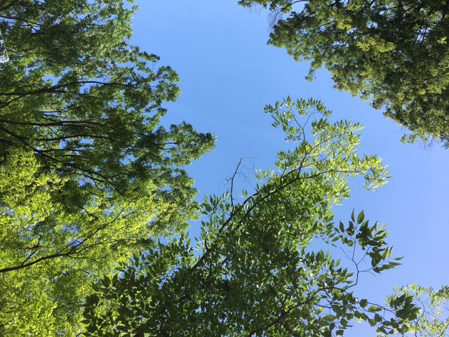 入社ガイダンス