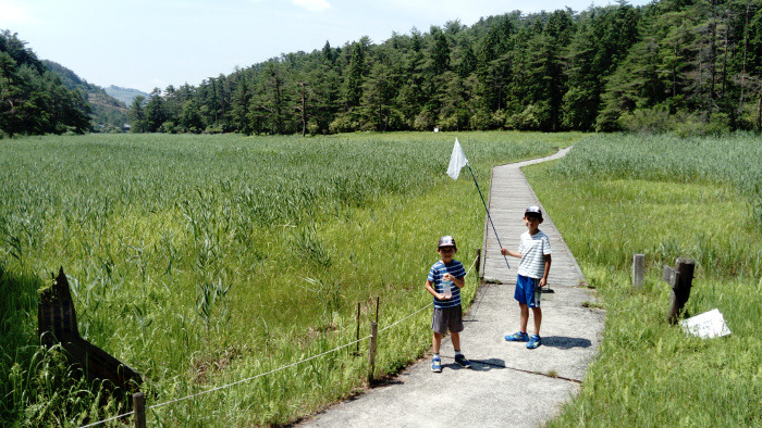 夏休みの過ごし方