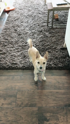 時差マイナス16時間での働き方とは?!