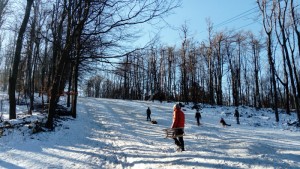 雪の日の楽しみ