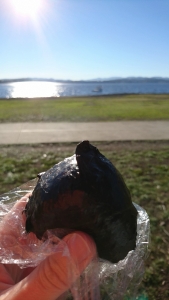 我が家の食事事情