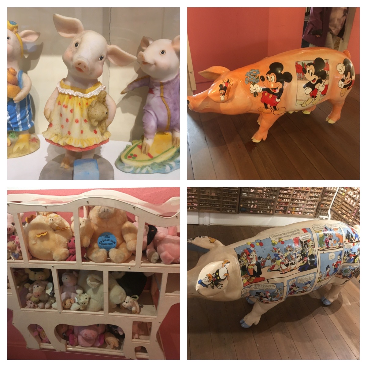 珍しい博物館「豚博物館」！？