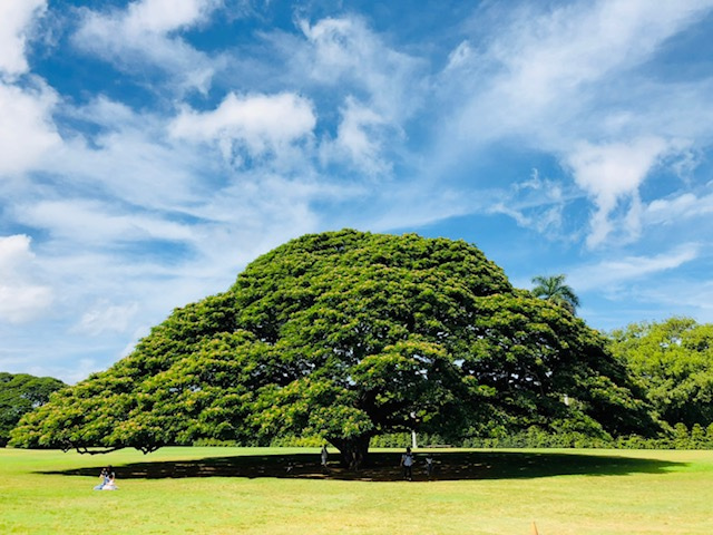 Hawaiiの結婚式事情Part2