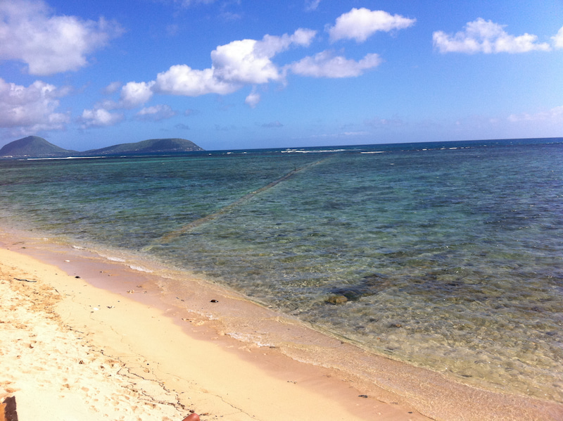 Hawaii旅行中も、働く?!