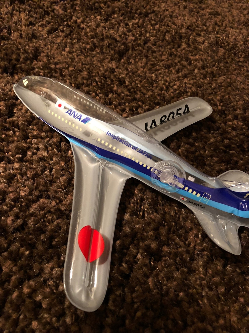 海外旅行♪飛行機に乗る時のススメ‼