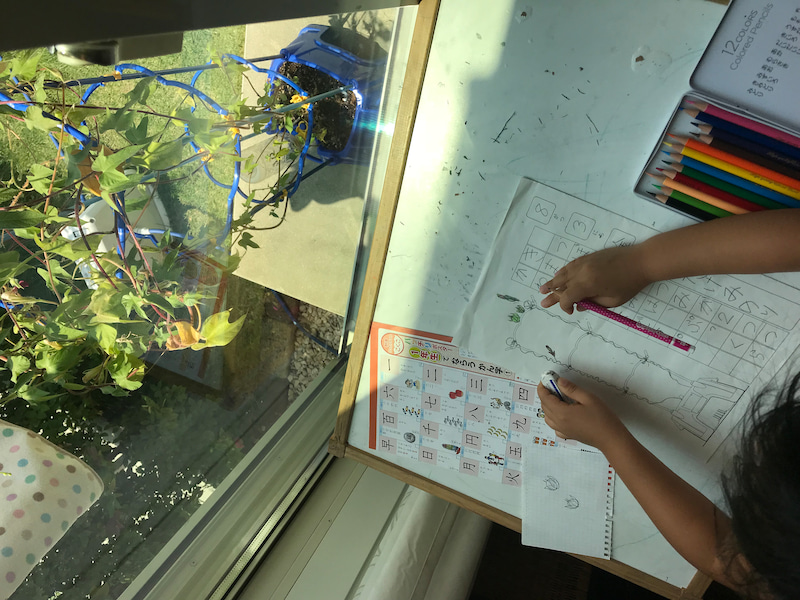 在宅ワークと夏休み