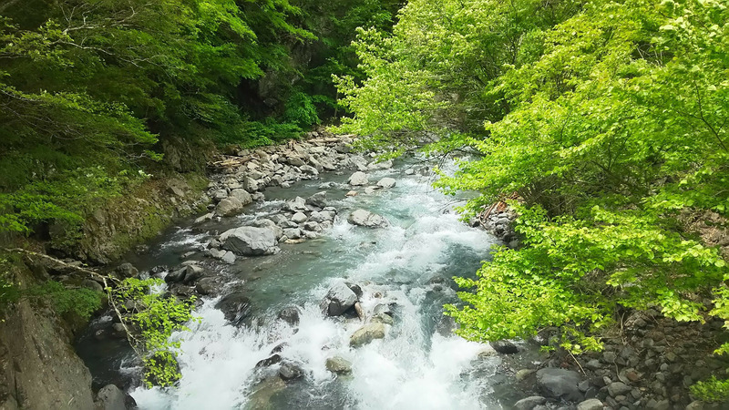 すごい小学生たち