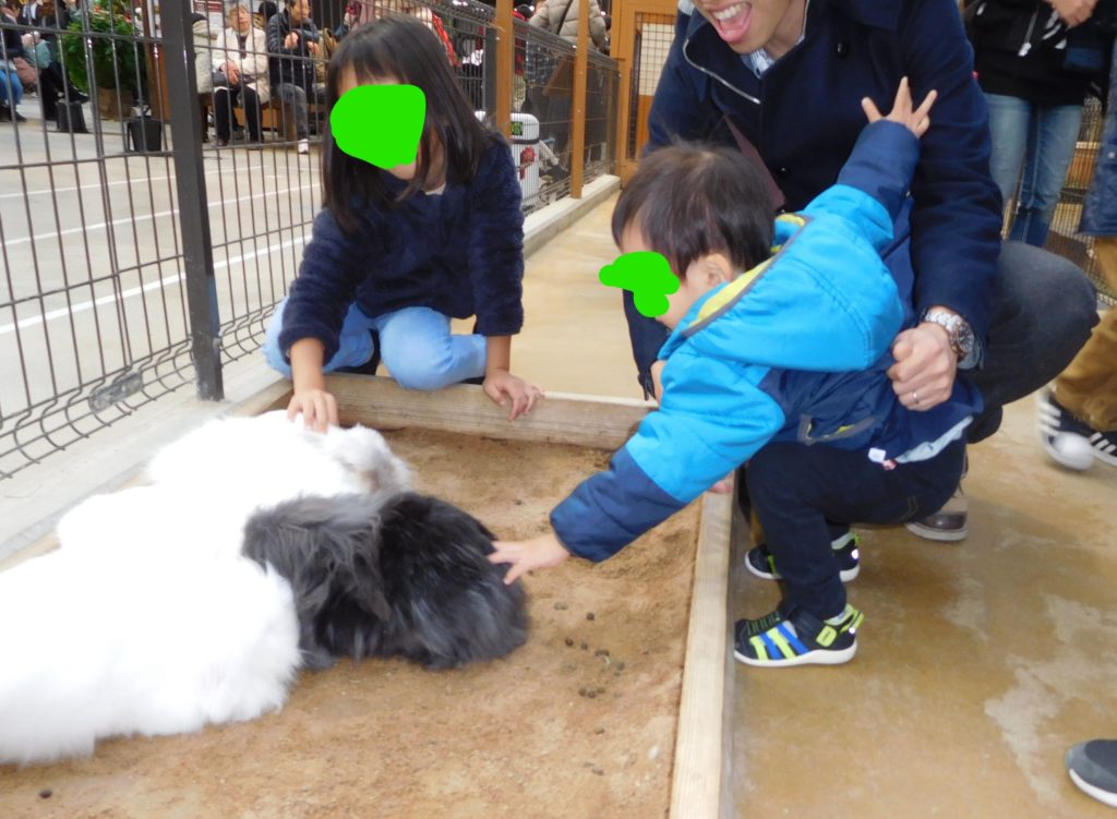 ウサギに触れる息子