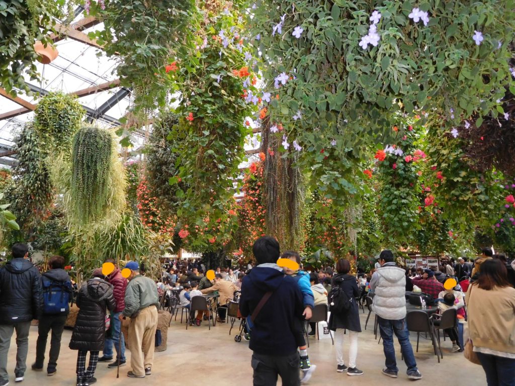 天井から植物が吊らさがっている