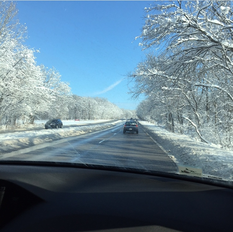 シカゴからこんにちは