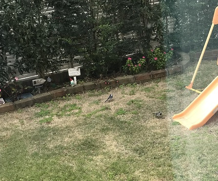 在宅ワークを振り返って