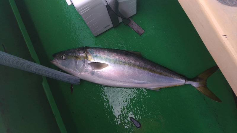 釣りの神様降臨！？